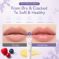 Triple Berry Repair Lip Treatment 12g